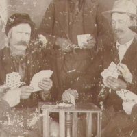 [Image: comp5_4.jpg]